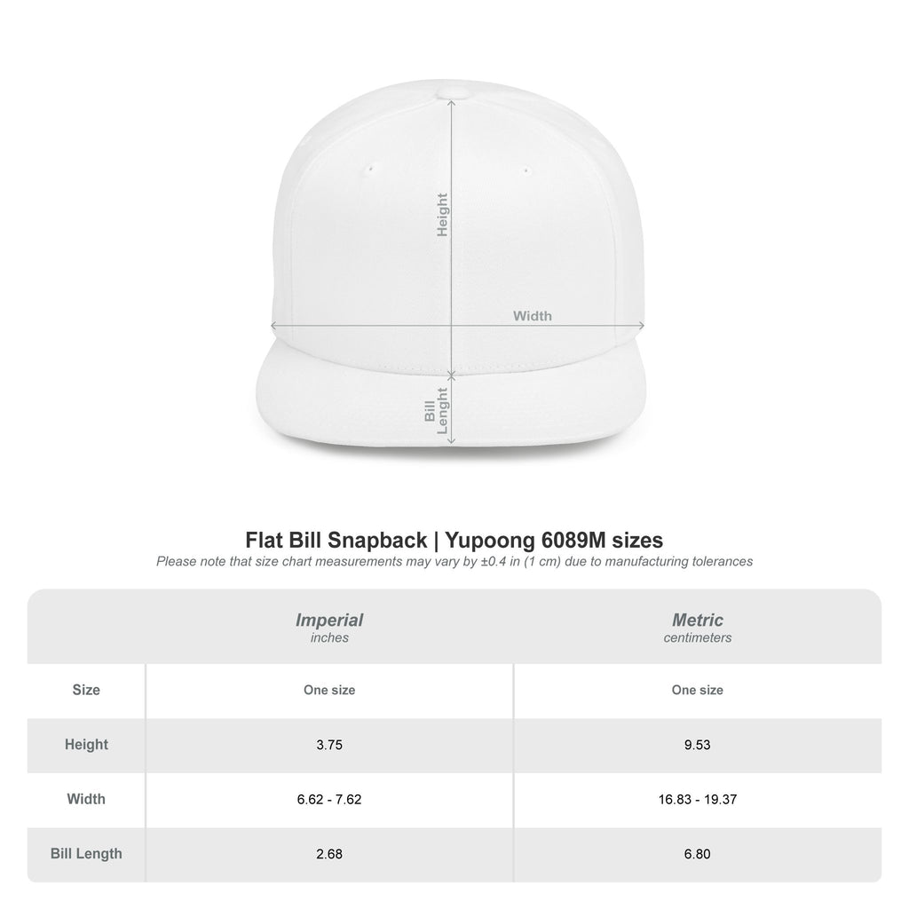 Detroit Tigers Letter Snapback Hat — Flat Bill Baseball Cap